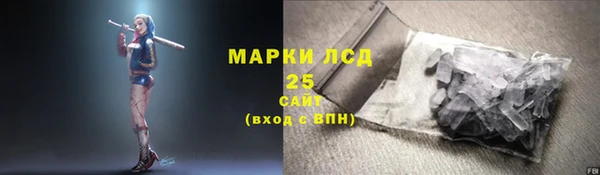 СК Новозыбков