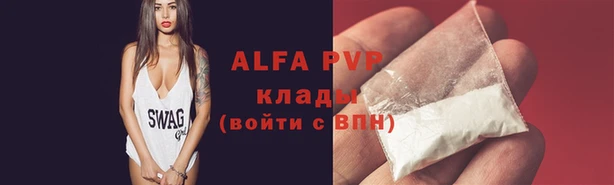 таблы Новодвинск