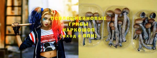 таблы Алексеевка